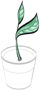 We'll Have More Soon